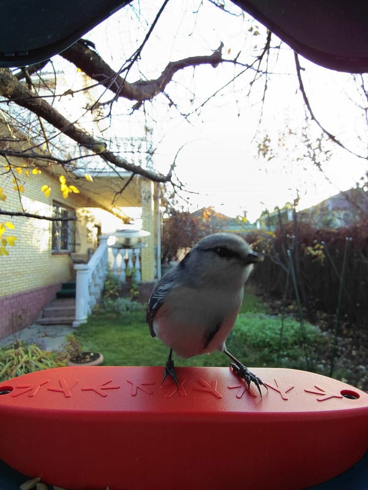 General Azure Tit comparison
