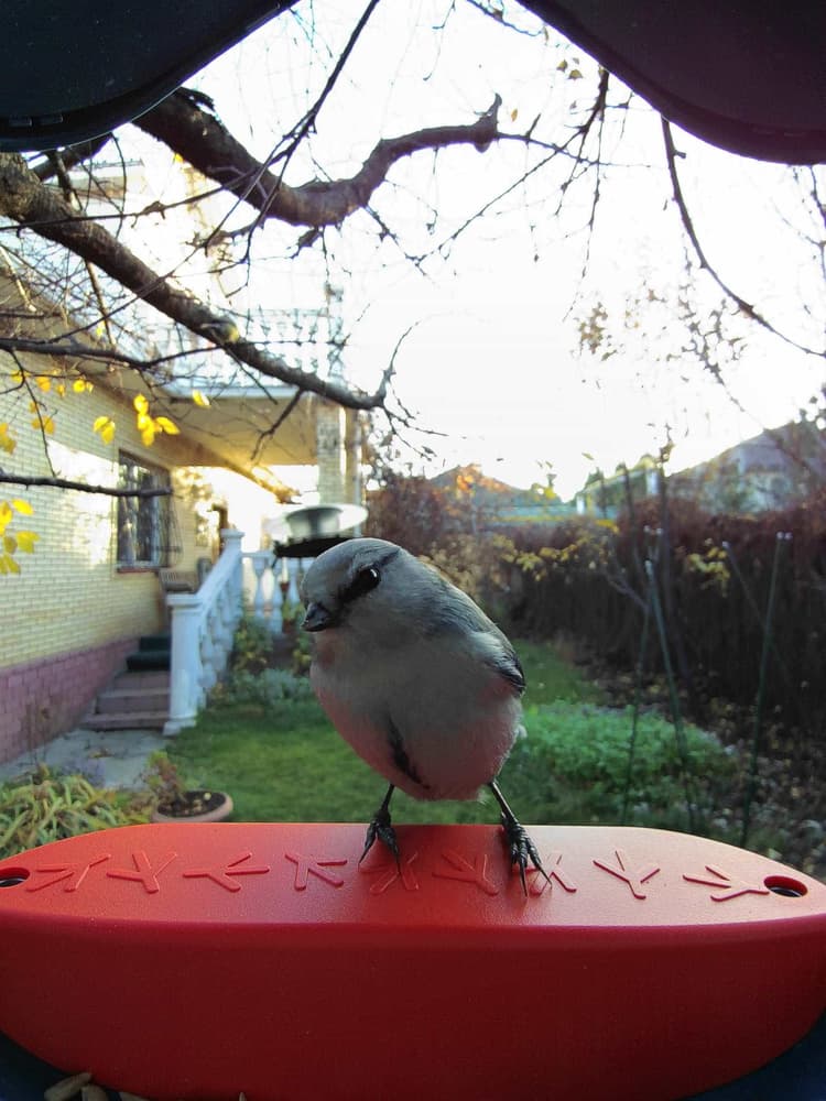 General Azure Tit comparison